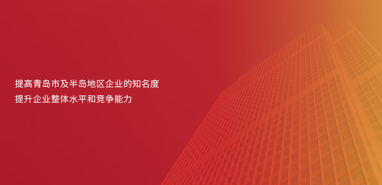 服務(wù)案例:青島企業(yè)評(píng)價(jià)協(xié)會(huì)